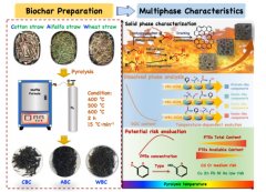 研究揭示热解温度对生物炭多相结构演变的影响机制
